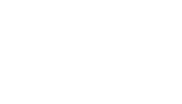 FPX Logo